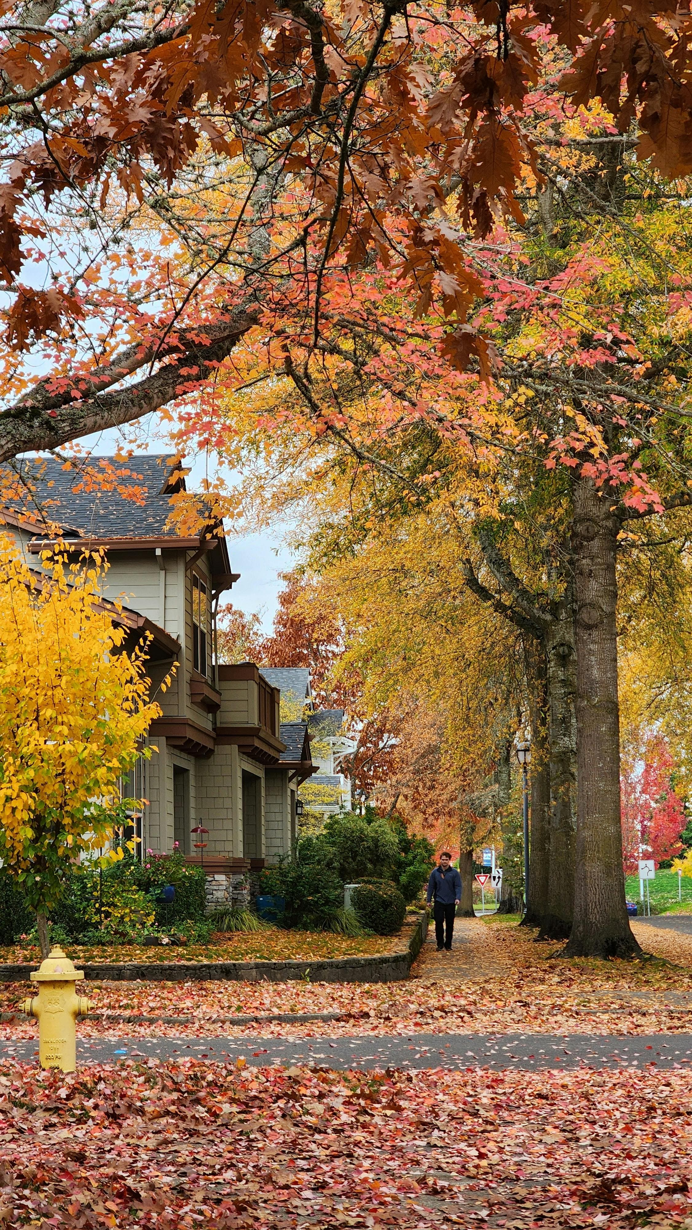 Fall cleanup