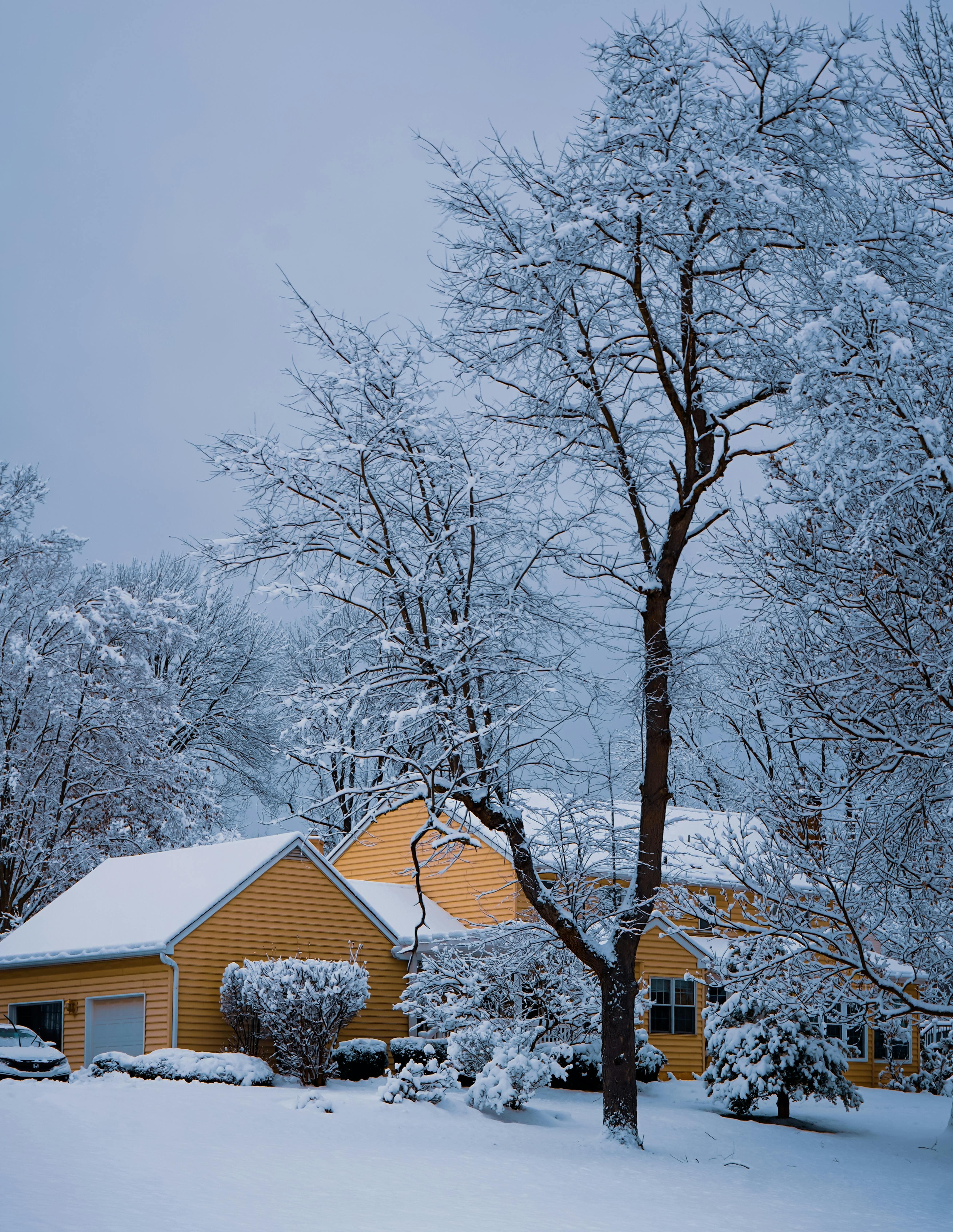 Snow-covered home in winter